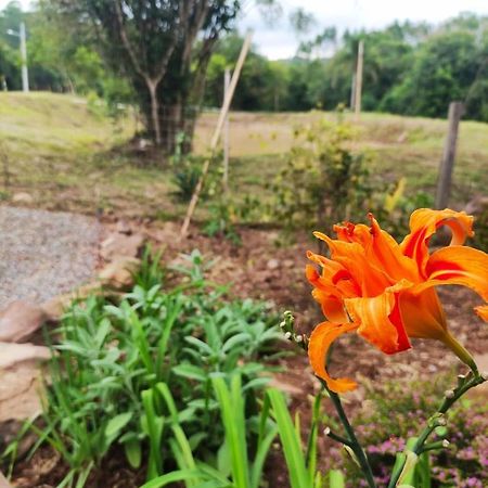 Cabana, Lagoas E Natureza! Villa Relvado Kültér fotó