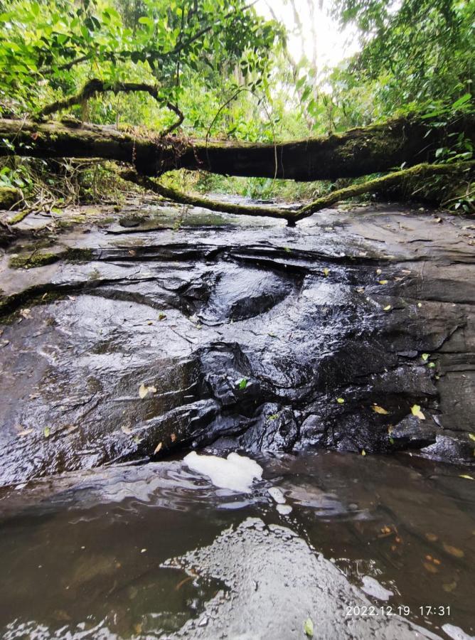 Cabana, Lagoas E Natureza! Villa Relvado Kültér fotó