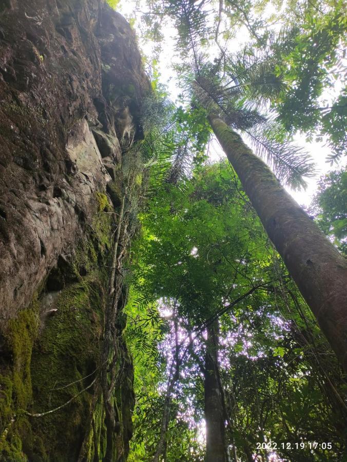 Cabana, Lagoas E Natureza! Villa Relvado Kültér fotó