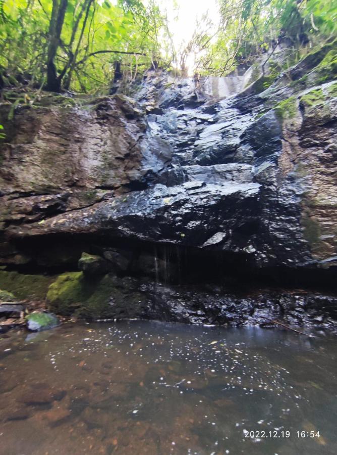 Cabana, Lagoas E Natureza! Villa Relvado Kültér fotó