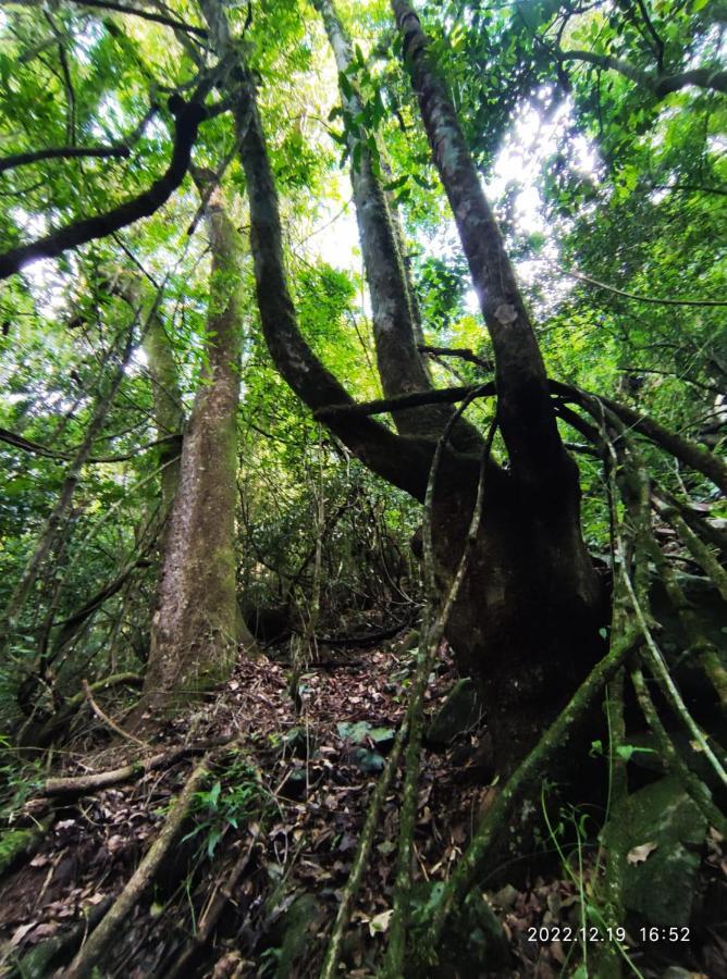 Cabana, Lagoas E Natureza! Villa Relvado Kültér fotó