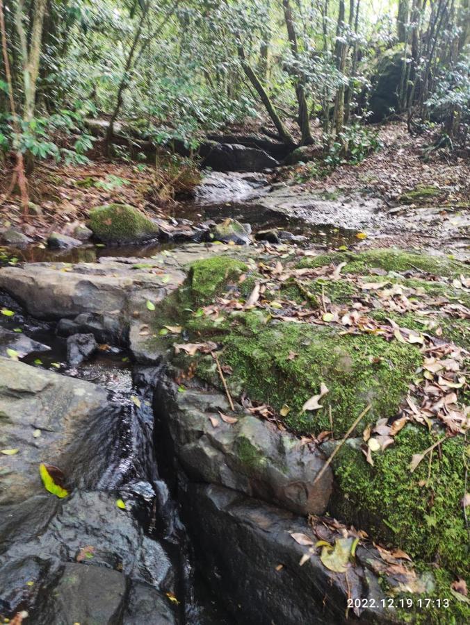 Cabana, Lagoas E Natureza! Villa Relvado Kültér fotó